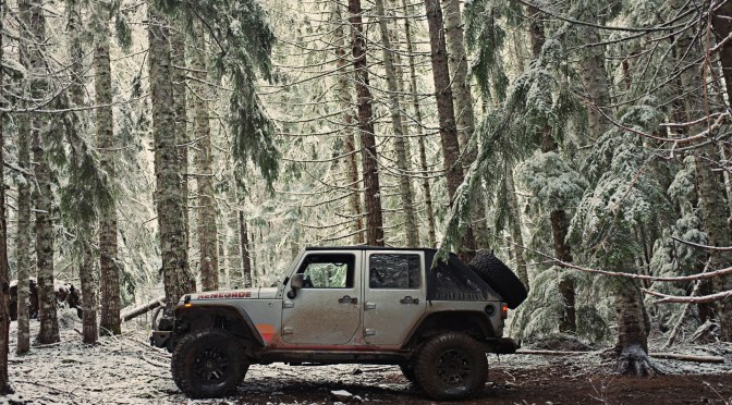Trail Day: Tillamook State Forest [Oregon]