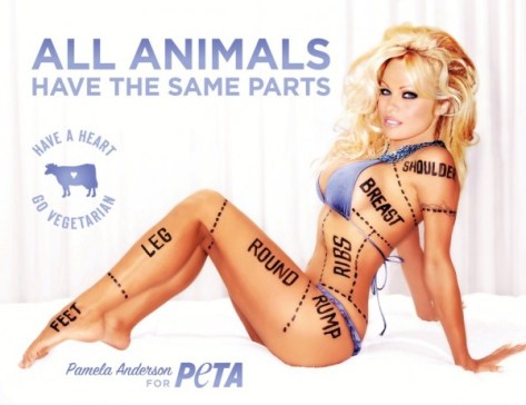 Animal rights groups are just as guilty of sexist marketing.