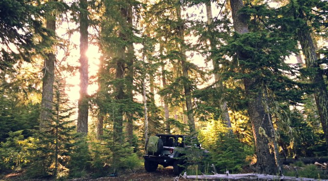 Product Review: Trasharoo