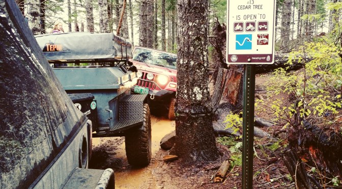 Trail Report: Cedar Tree [Oregon]