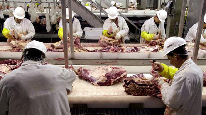 Why am I Vegan?  Part 2: The People.