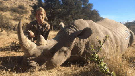 I have never dreamt of punching someone so hard before.