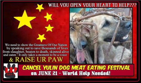 China's government is not censoring the social dialog on Yulin.