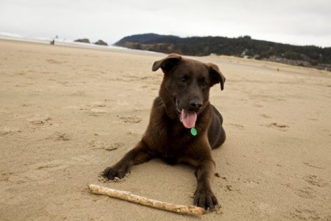 22361_269311379630_490144_n