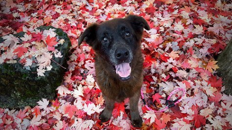 31320081060_762ddc9bd5