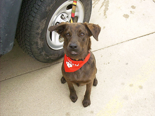 31692524225_2a8a4ef980