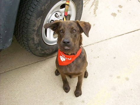 31692524225_2a8a4ef980