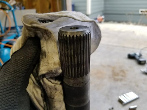 31915861951_b64cf51bf1