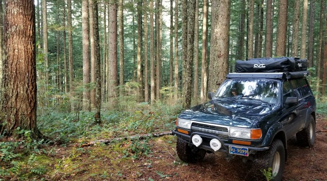 Lots of Changes at Offroad Vegan!