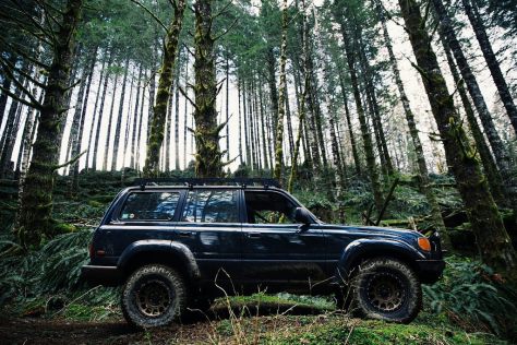 43768920335_24a80c0bbb_b