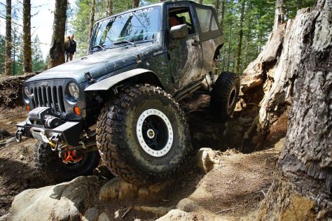 43768920545_f81a8ced46_b