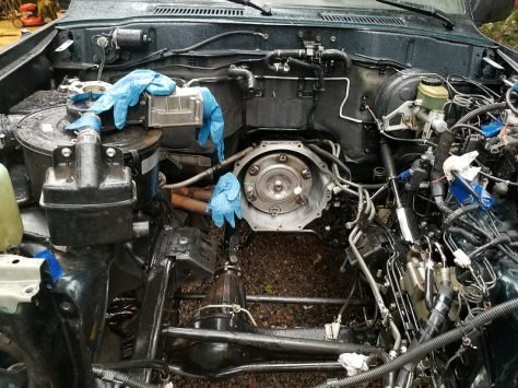 43949843964_65f2c62535_c