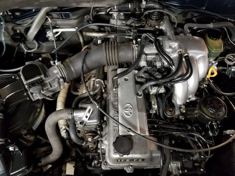 43949981484_eb4323b4fc_c