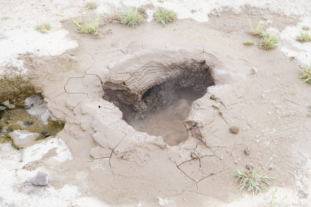 44678584681_18f0ab3dff_b